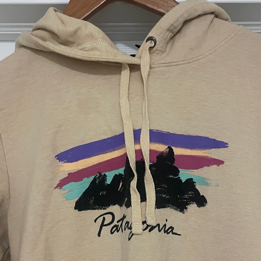 Patagonia Hoodie with Logo Graphic - Picture 4 of 10